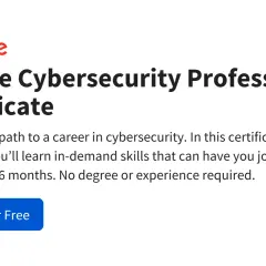 Google Cybersecurity Professional Certificate: an online undergraduate certificate program to gain job-ready skills in cybersecurity.