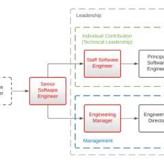Career path for software developer roles, showing progression from Junior Software Engineer to Distinguished Software Engineer (technical leadership) or VP of Engineering (management).