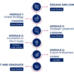 A roadmap for c suite leadership development, outlining modules on strategy, innovation, and future business, with online and in-person options.