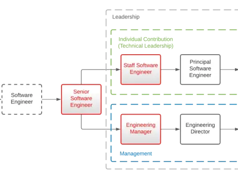 Software Developer Career Path UK - Choose Your Specialism