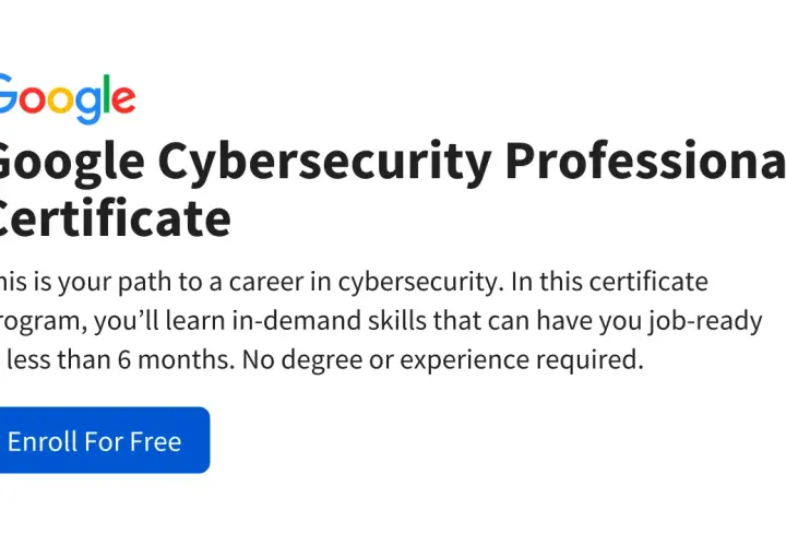 Google Cybersecurity Professional Certificate: an online undergraduate certificate program to gain job-ready skills in cybersecurity.