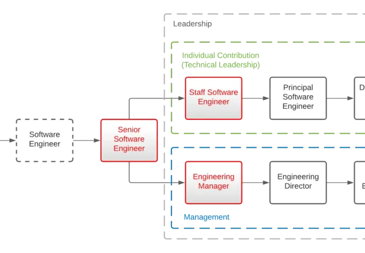 Career path for software developer roles, showing progression from Junior Software Engineer to Distinguished Software Engineer (technical leadership) or VP of Engineering (management).