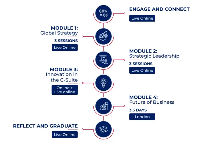 A roadmap for c suite leadership development, outlining modules on strategy, innovation, and future business, with online and in-person options.