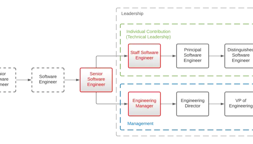 Career path for software developer roles, showing progression from Junior Software Engineer to Distinguished Software Engineer (technical leadership) or VP of Engineering (management).
