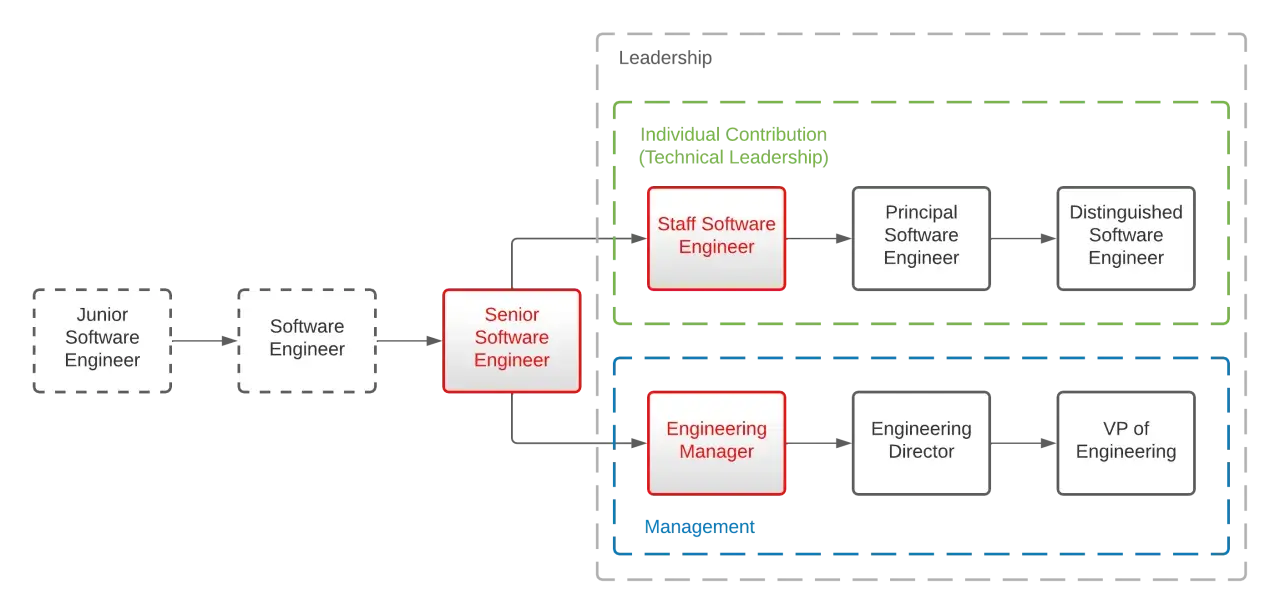 Career path for software developer roles, showing progression from Junior Software Engineer to Distinguished Software Engineer (technical leadership) or VP of Engineering (management).