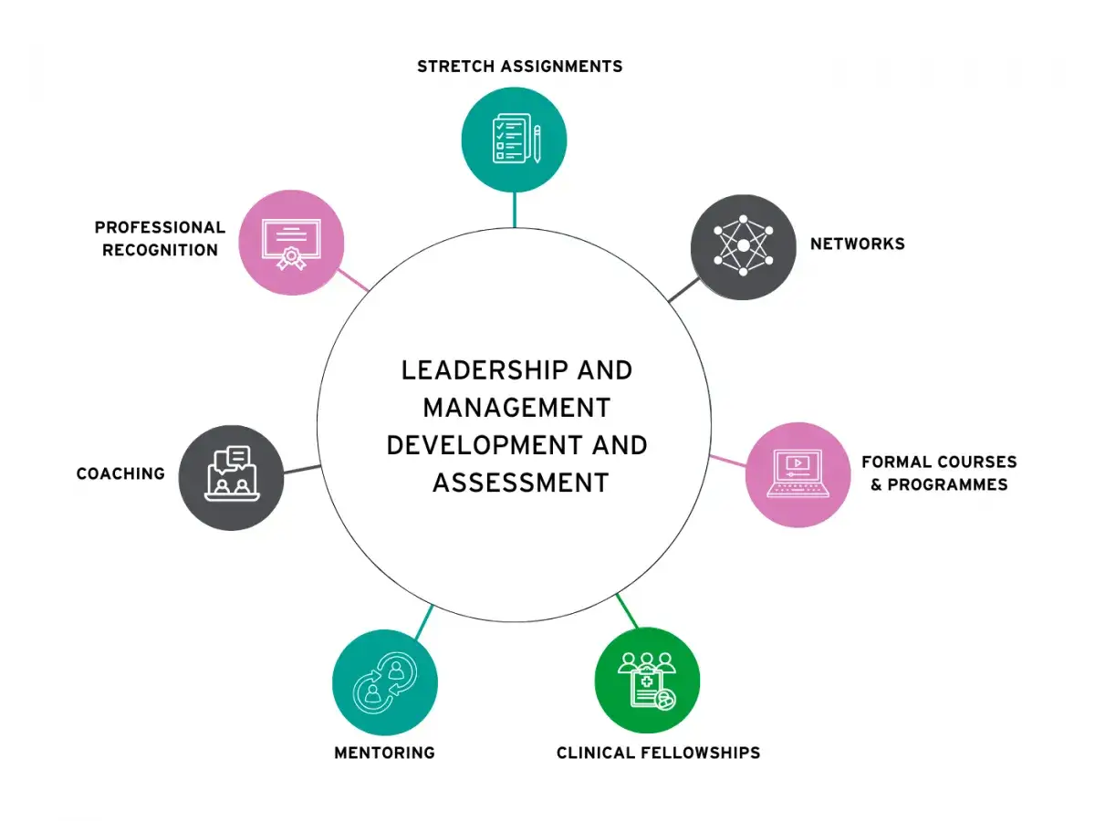 Diagram illustrating components of a leadership curriculum: coaching, professional recognition, stretch assignments, networks, formal courses, clinical fellowships, and mentoring.